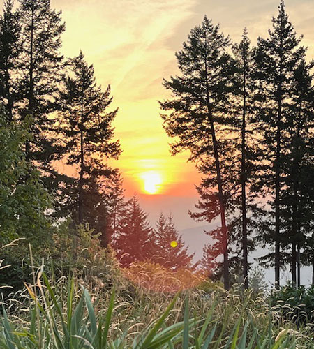 Okanagan Stable's sunset trail offers spectacular views.