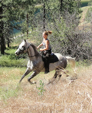 Are you an advanced rider?  Okanagan Stables is happy to accommodate those with higher horsemanship.
