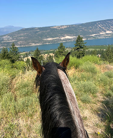 Okanagan Stables offers an enjoyable classic trail ride with spectacular views.