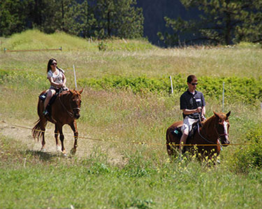 From very young or very nervous riders to experienced ones, Okanagan Stables offers a fun horseback riding experience for all!