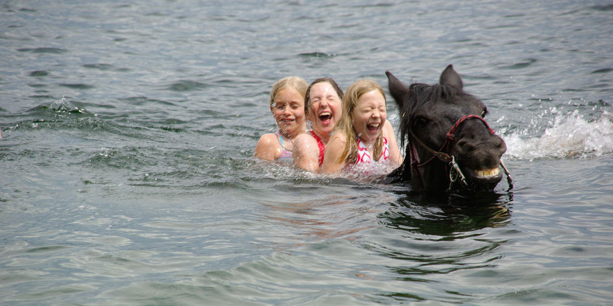 Okanagan Stables, offering a fun horseback riding experience for all