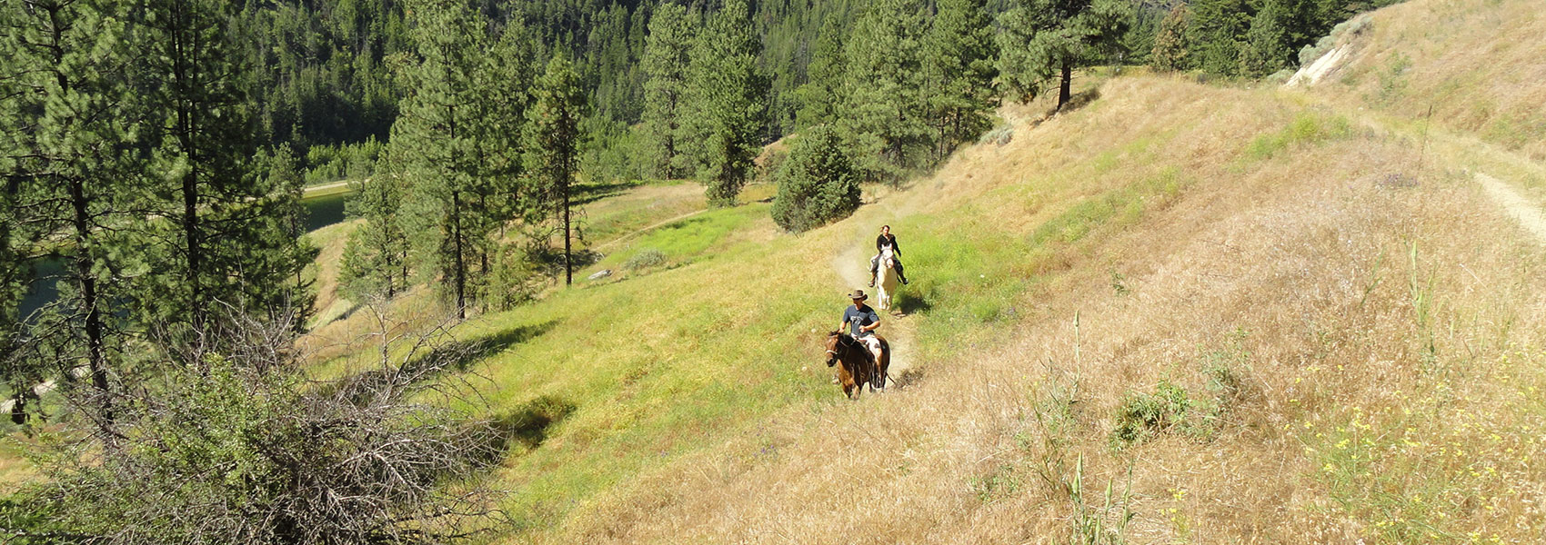 Okanagan Stables in Oyama - important things to know before you attend your horseback riding session.