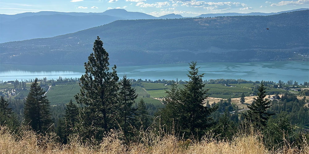 Okanagan Stables is located in the beautiful Oyama countryside in the Okanagan Valley's Lake Country.