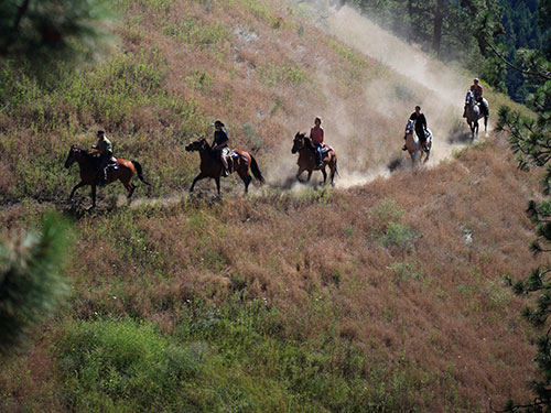 Okanagan Stables caters to every horseback riding skill level, from beginner to expert.