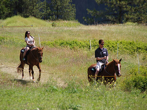 Okanagan Stable's introductory trail rides are great for never-evers and nervous riders.