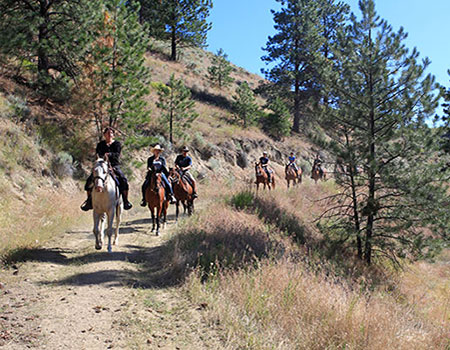 From very young or very nervous riders to experienced ones, Okanagan Stables offers a fun horseback riding experience for all!